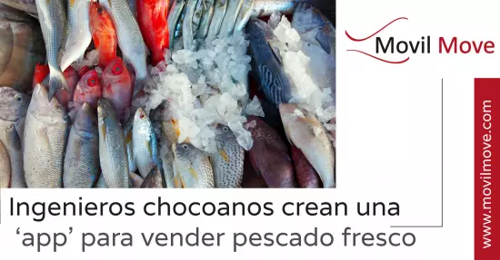 Ingenieros chocoanos crean una ‘app’ para vender pescado fresco